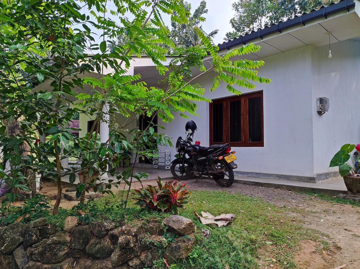 Schatzi'S Hideaway 坦加拉 外观 照片