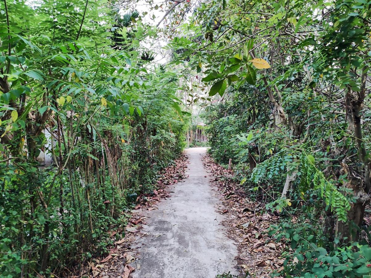 Schatzi'S Hideaway 坦加拉 外观 照片